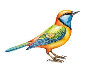 Fototapeta premium A bright bird sits atop a white surface