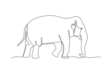 Fototapeta premium Standing Elephant Wild Mammal. Mammals Concept. Single line draw design Video 4k. Footage graphic illustration