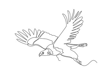 Naklejka premium Eagle Flying Over Wild Nature. Wild Animal Concept. Single line draw design Video 4k. Footage graphic illustration