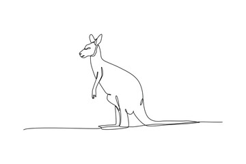 Naklejka premium Kangaroo Standing In Open Land. Wild Animal Concept. Single line draw design Video 4k. Footage graphic illustration