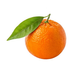 Vibrant orange fruit png with transparent background for design projects isolated on transparent background