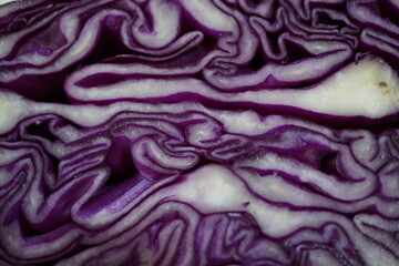 Obraz premium Abstract purple and white organic texture with layered wavy pattern