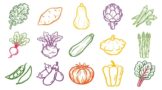 Colored chalk hand drawn fruit and vegetable icon set for organic food design
