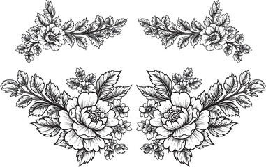 Fototapeta premium Black and white floral illustrations isolated on transparent background