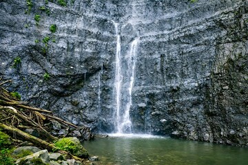 Small Waterfall Flowing Into Natural Pool on Rocky Cliff in Tropical Forest