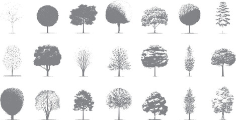 Collection of grey deciduous and coniferous trees in various styles and densities nature forest foliage © Pixel Park