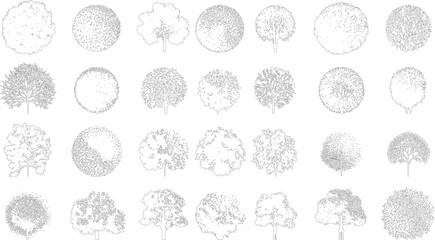 Collection of black and white line tree in down view. Different tree shapes and foliage textures are depicted with varied dot patterns and outline styles