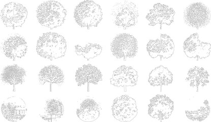Collection of black and white line of various trees and architectural outline