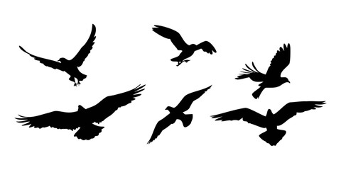 Fototapeta premium A group of seven black birds flying in a clear sky with no background Vector