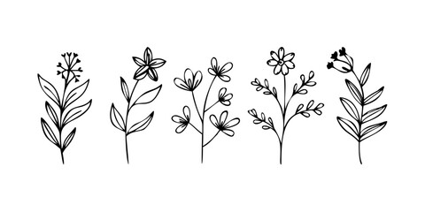 A beautiful illustration of five different types of flowers Vector