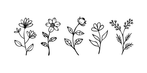 A delightful arrangement of five different floral illustrations in black and white Vector