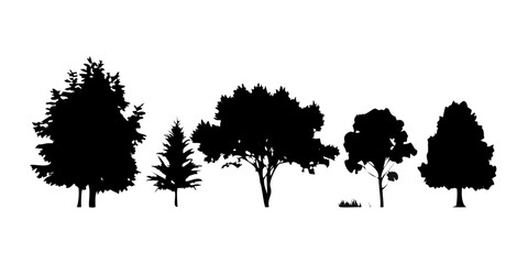 Five trees of varying shapes and sizes in a black and white silhouette Vector © Kola