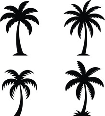 Collection of Four Stylized Black Silhouette Palm Trees Isolated on a Transparent Background