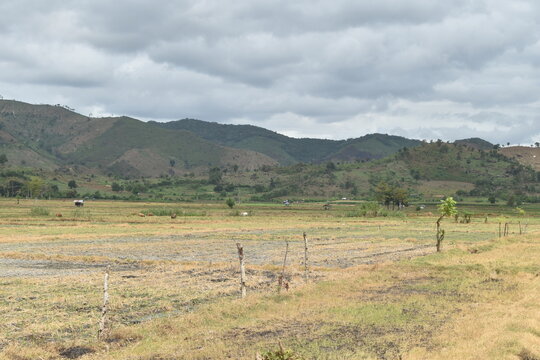 the natural beauty of climbing Mount Tambora in West Nusa Tenggara province, Indonesia. This mountain is famous for having the largest crater.