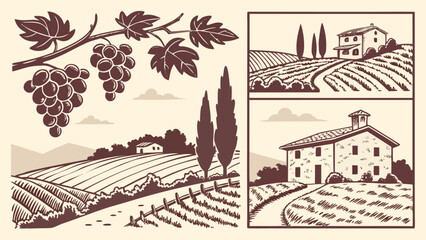 Naklejka premium Vintage hand drawn vineyard landscape with grapes and old country house illustration set