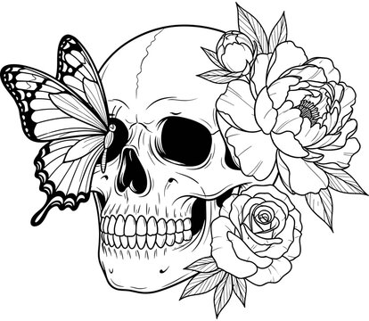 Detailed line art illustration of a human skull with roses and peonies adorned by a butterfly, gothic floral art and memento mori concept