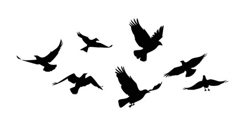 A flock of birds flying in a clear blue sky with a sense of freedom and harmony. Vector © RABBI