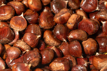Raw chestnuts washed before cooking