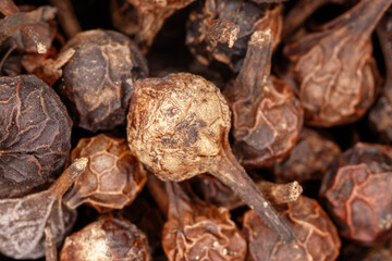 Cubeb pepper berries macro close up detail © de-nue-pic