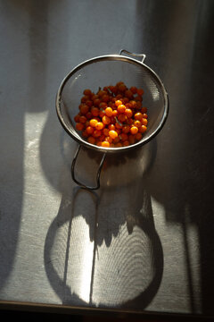 Fresh Sea Buckthorn Berries in a Sieve with Strong Shadows on Metal Surface