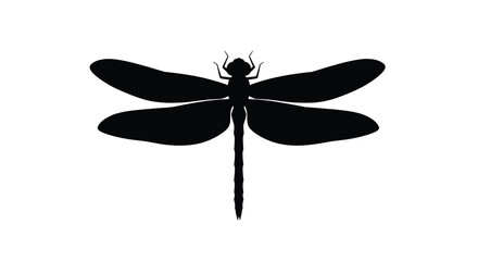 A striking black dragonfly form against a white background silhouette © MD