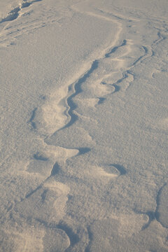 no footprints in the snow