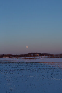 fool moon in the cold winter evening