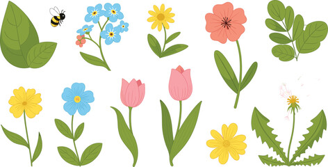 Naklejka premium Cute Spring Wildflowers Vector Set – Hand Drawn Botanical Flowers and Leaves Illustration