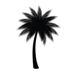 Obraz premium Simple vector graphic of a palm tree with simplified leaves, suitable for logos, icons, and web design elements for a clean look.