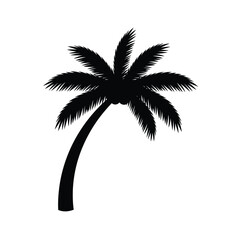 Obraz premium Detailed palm tree vector art, realistic rendering of trunk and fronds, versatile for nature or travel themed designs.