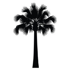 Obraz premium Artistic vector rendering of a palm tree, conveying a serene and relaxing tropical atmosphere.