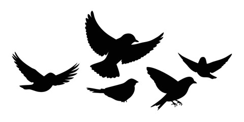 Five black birds flying in a white background with a sense of freedom and motion. Vector © Rabbi