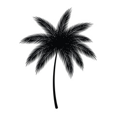 Obraz premium Stylized vector palm tree with a clean, modern aesthetic, perfect for travel agency branding and eco-friendly concepts.