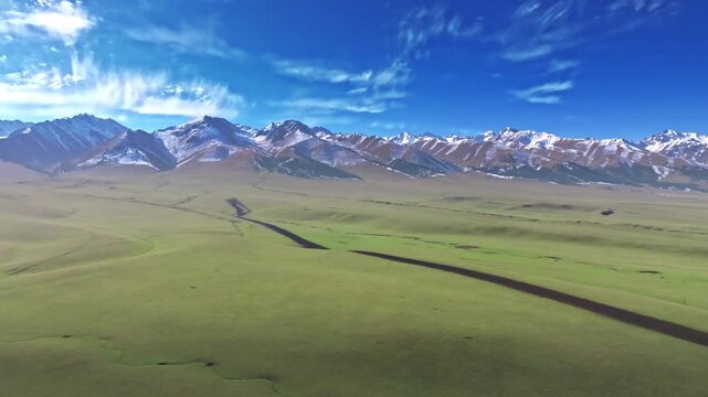 Aerial Grassland with Snow-Capped Mountains