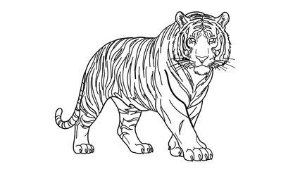 Fototapeta premium A black and white vector illustration of a tiger walking forward with a fierce expression