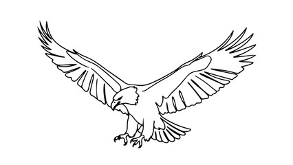 Obraz premium A minimalist vector illustration of an eagle in flight with outstretched wings