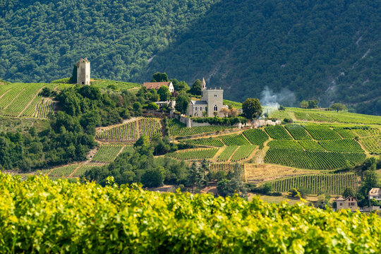 Terraced vineyard landscape in the Chignin wine region of Savoie, France, with hillside vines and stone buildings set against the alpine foothills of the Massif des Bauges