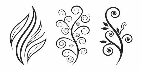 Elegant black and white swirl and flame decorative design elements Vector © leptop
