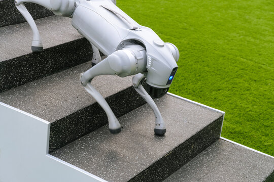 Gray smart robot dog is going down the stairs. Legs in motion.