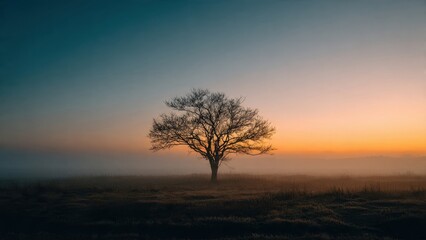 Naklejka premium Solitary Tree in Fog at Sunrise