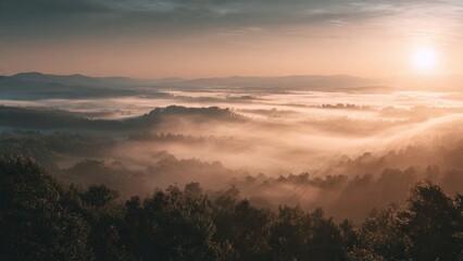 Obraz premium Sunrise over foggy forest landscape