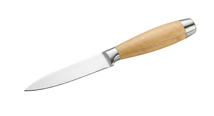 Stainless steel kitchen knife with wooden handle