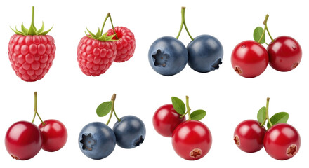Collection of various fresh berries with green leaves on white background