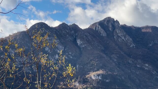 mountain landscape with cloudy blue sky and autumn tree branches blowing on gentle breeze