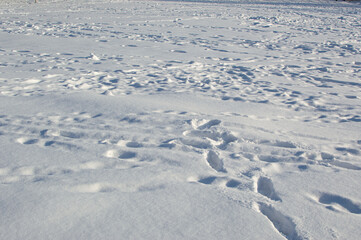Deep tracks in white snow in winter, light and shadows on surface in sunlight
