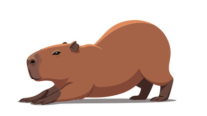 Obraz premium Large brown capybara stretches its body on the ground in a realistic animal illustration isolated on a white background.
