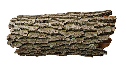 Rough Tree Bark Texture Isolated