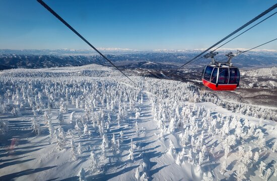 Scenic cable cars fly over forests of giant Juhyo (ice trees or snow monsters) on the snowy slope under blue clear sky on a sunny winter day in Zao hot spring and ski resort in Yamagata, Tohoku, Japan