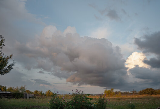 Large beautiful cumulus clouds in evening sunset sky above golden field and flowers in foreground, summer landscape
