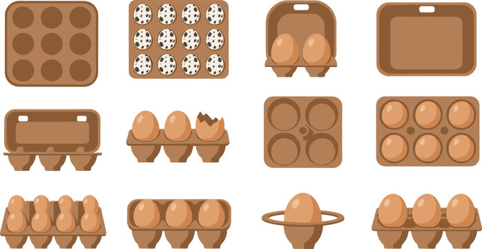Set of brown paper egg cartons and trays with fresh brown and speckled quail eggs isolated on white for farm market packaging design